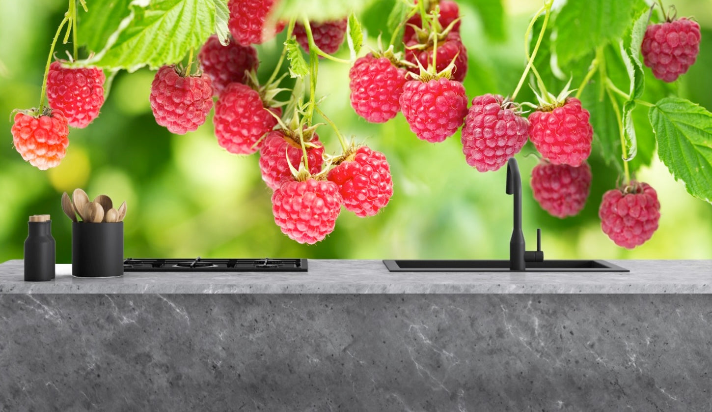 Sticla vopsita bucatarie placari #1073